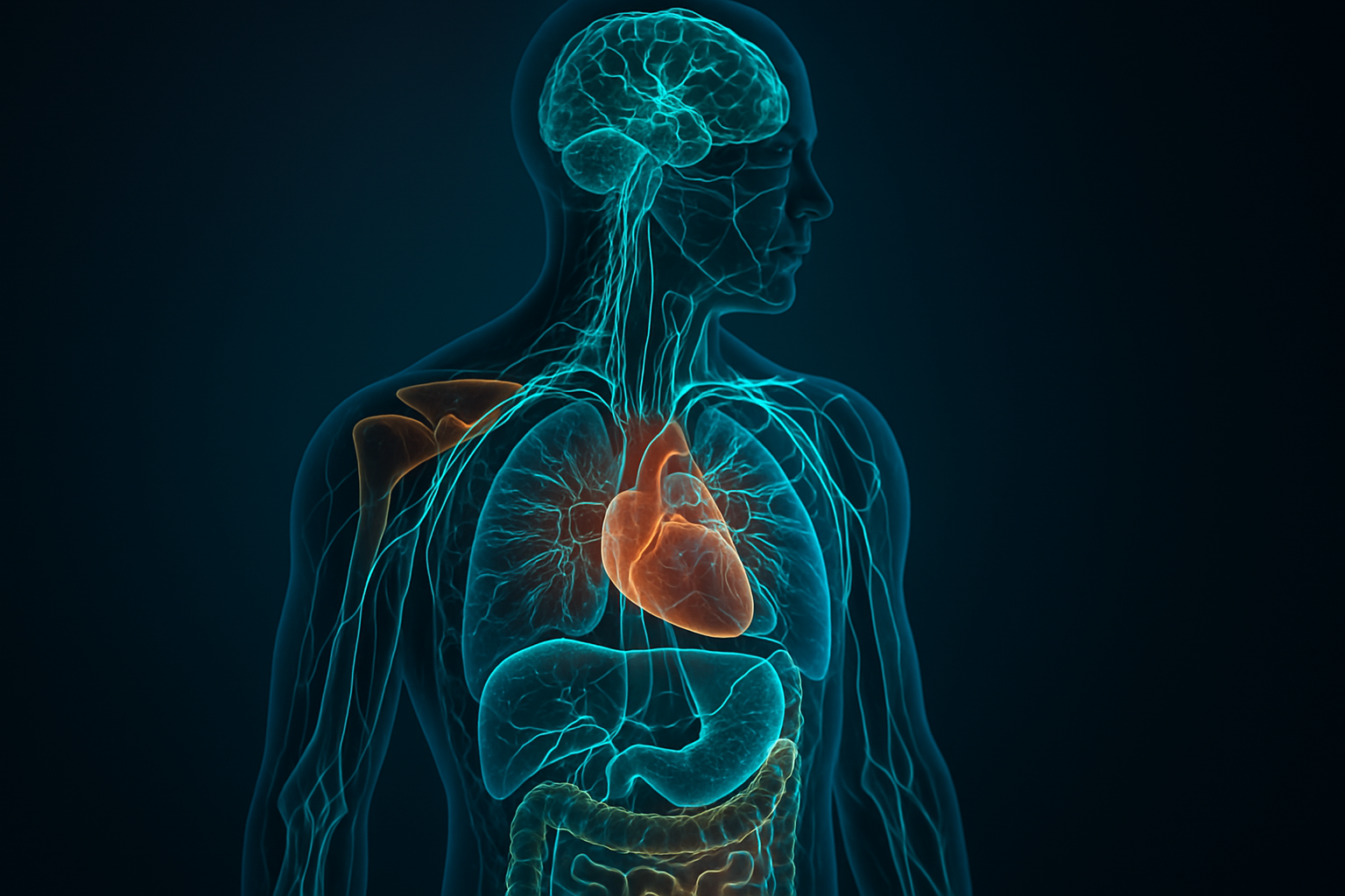 Metformin's Role in Enhancing Antioxidant Defenses in Neurons